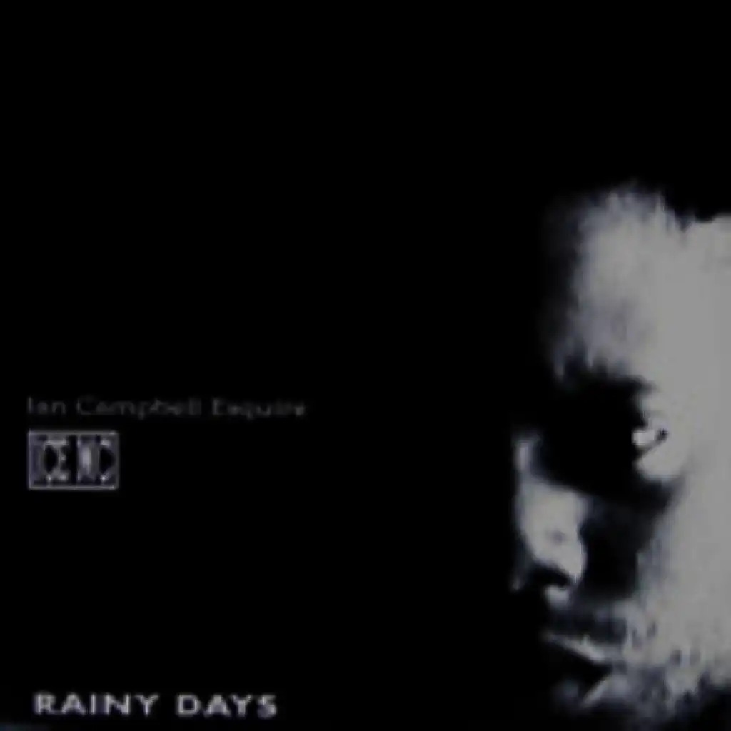 Rainy Days (Instrumental Mix)