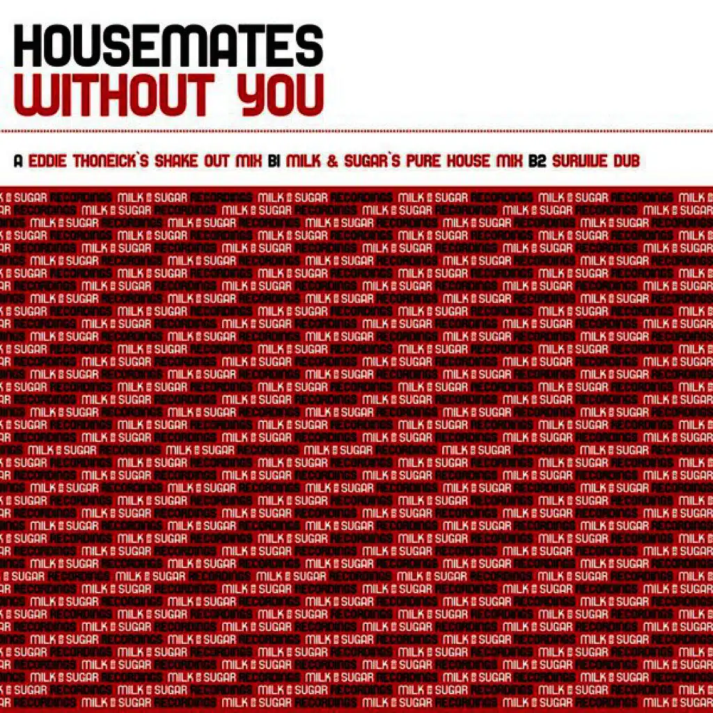 Without You (Milk & Sugar's Pure House Club Mix)