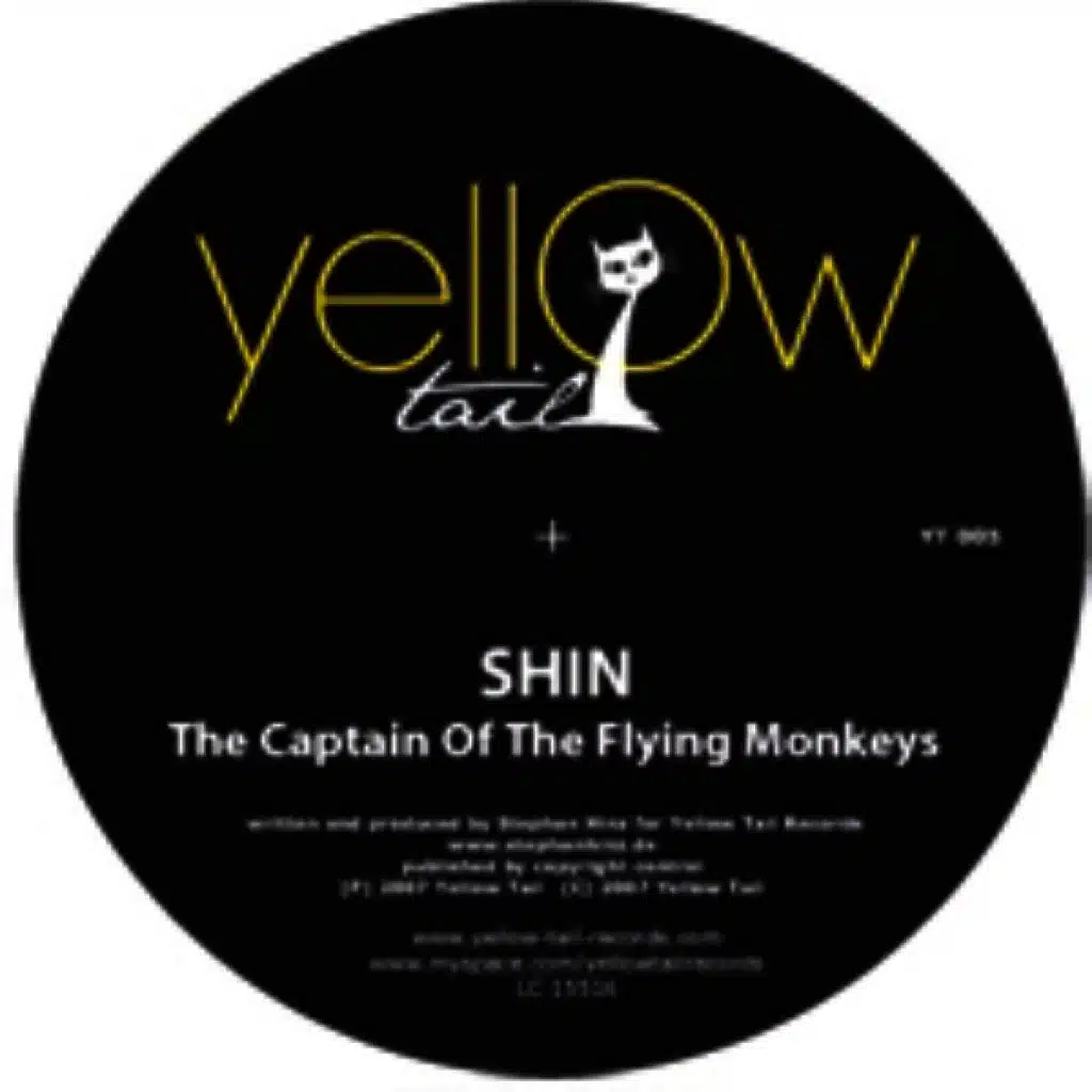 Captain Of The Flying Monkeys (Patrick Zigon Remix)