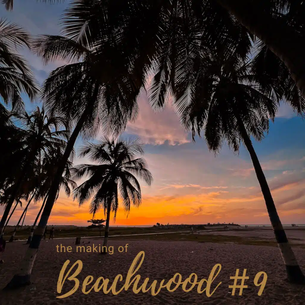 THE MAKING OF BEACHWOOD # 9
