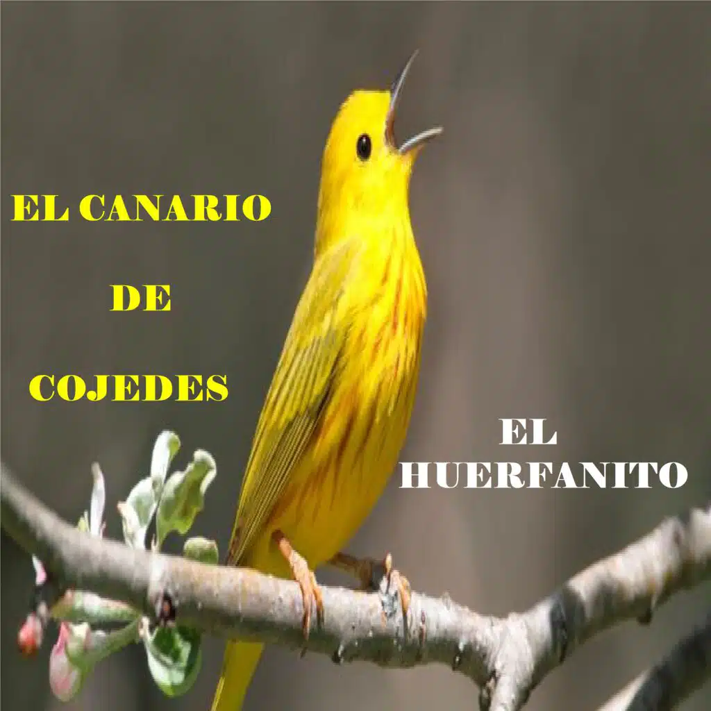 El Huerfanito
