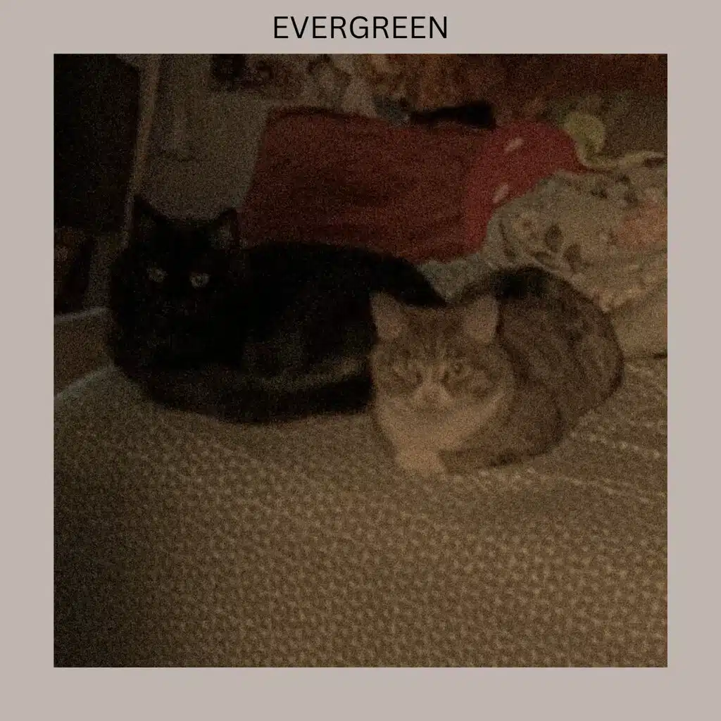 EVERGREEN