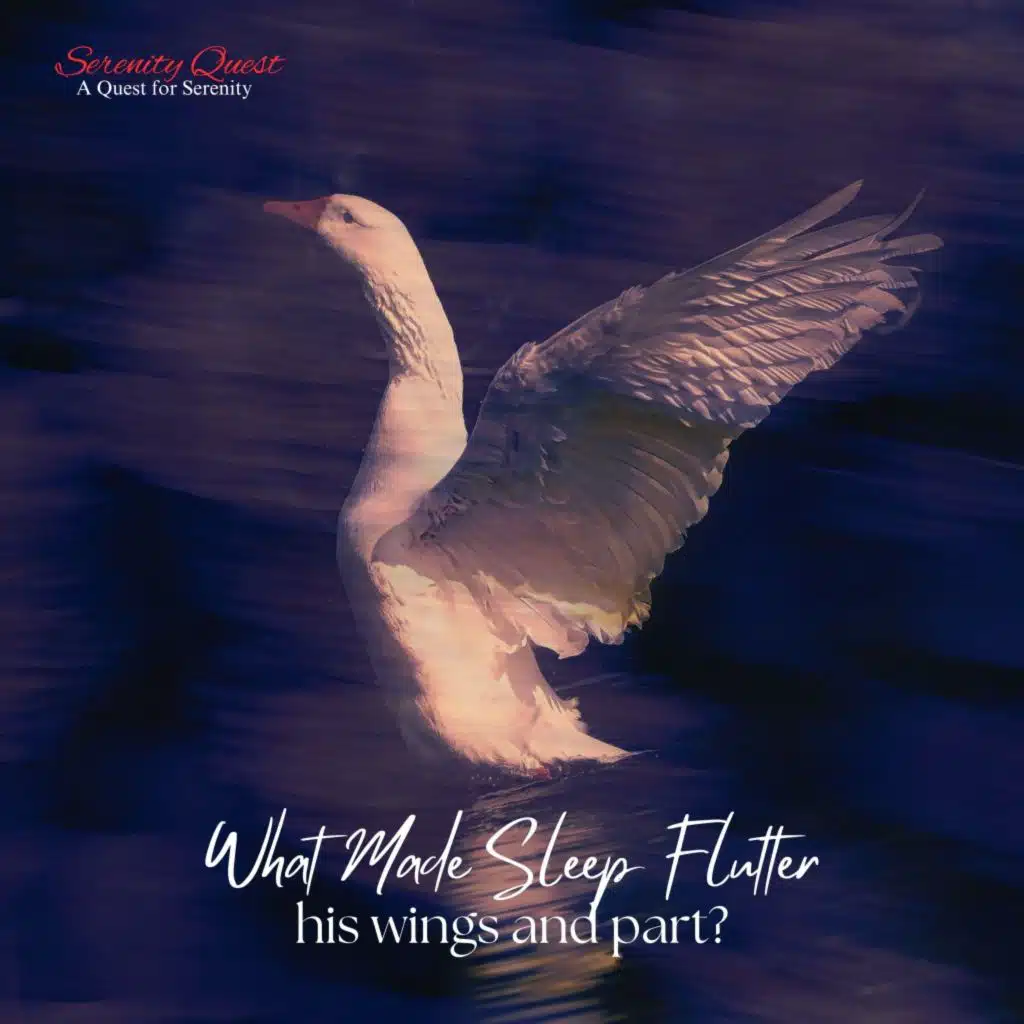 What Made Sleep Flutter His Wings And Part?
