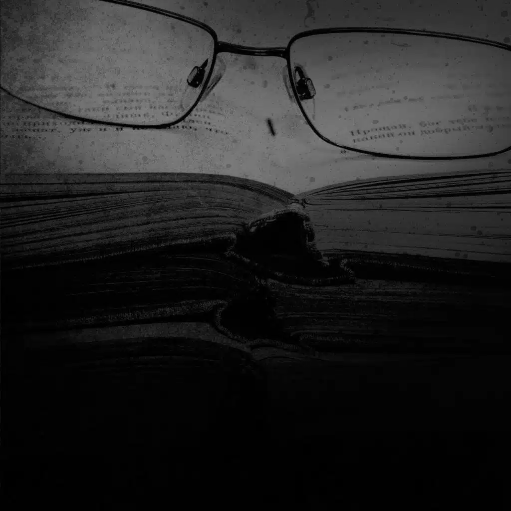 The Professor