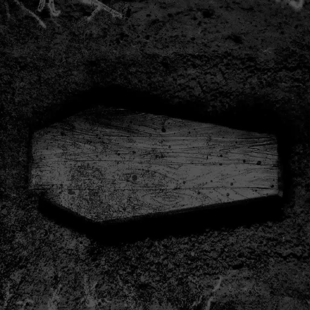 Dig