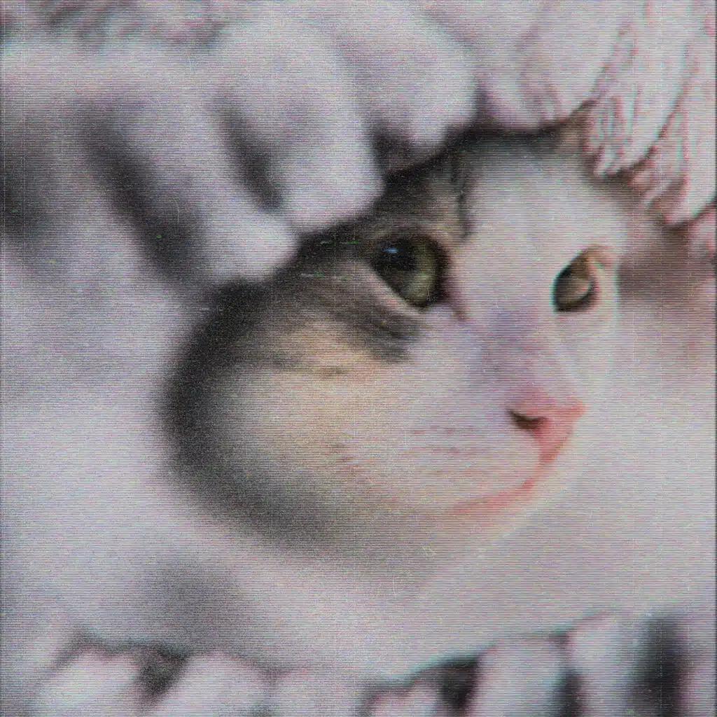 Sweater Weather (Hoodtrap / Mylancore)