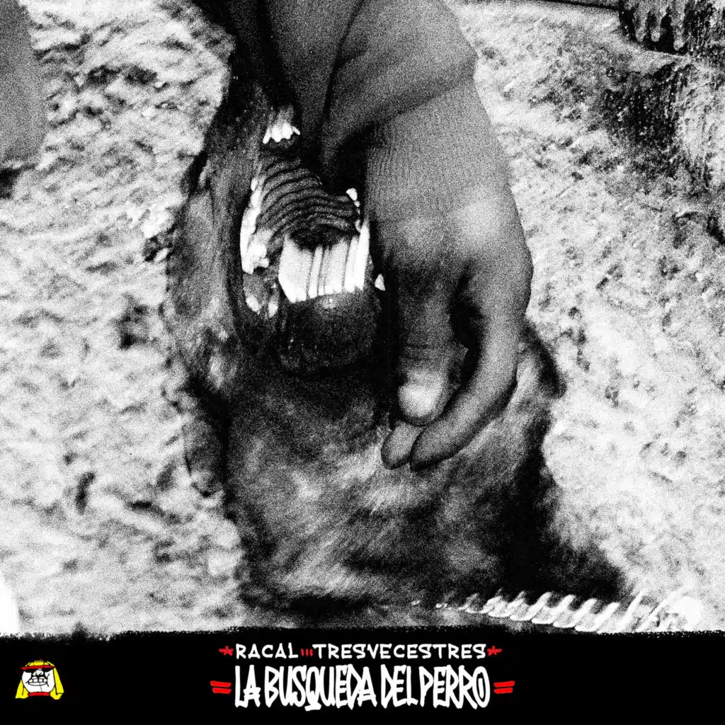 La Búsqueda del Perro