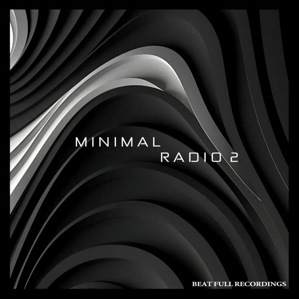 Minimal Radio, Vol. 2