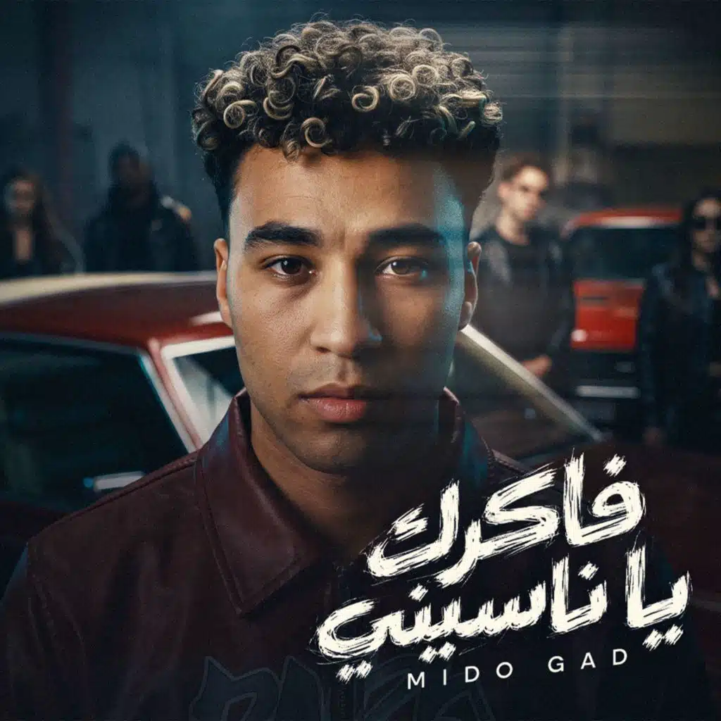 فاكرك يا ناسينى