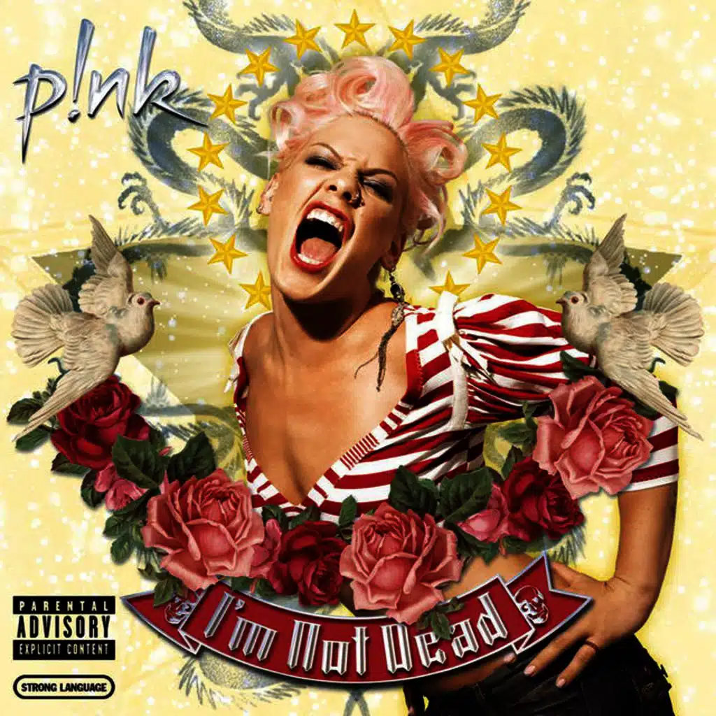 Who Knew - Main Version