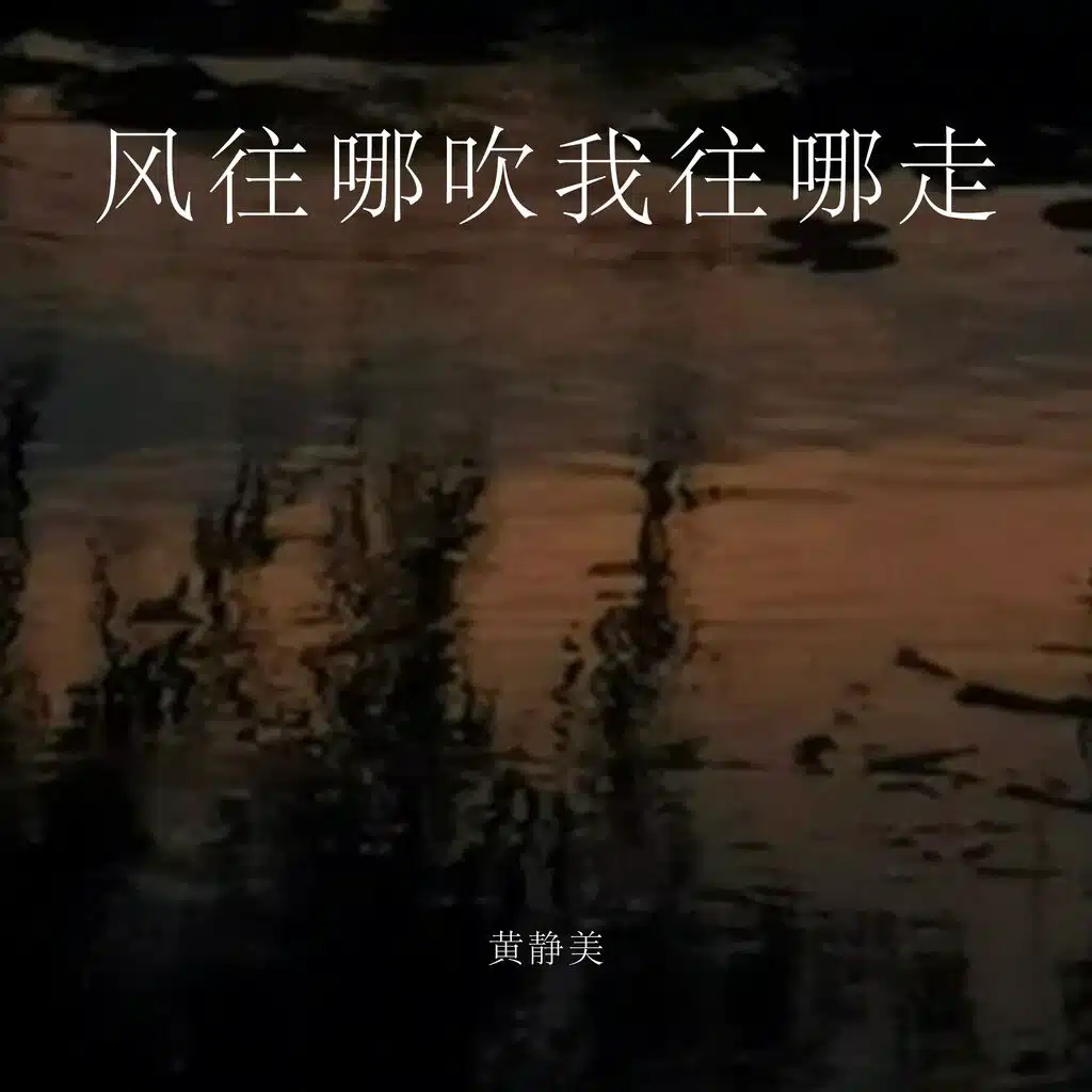风往哪吹我往哪走