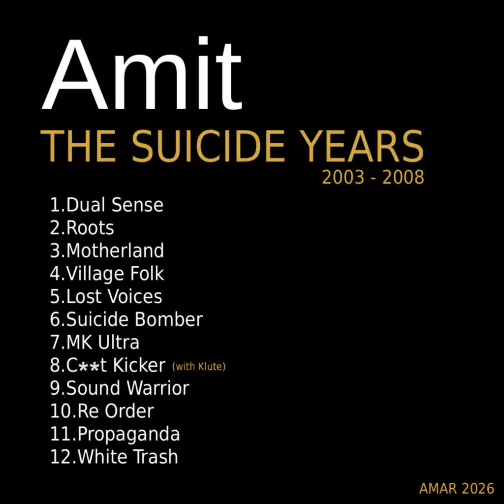 The Suicide Years (2003 - 2008)