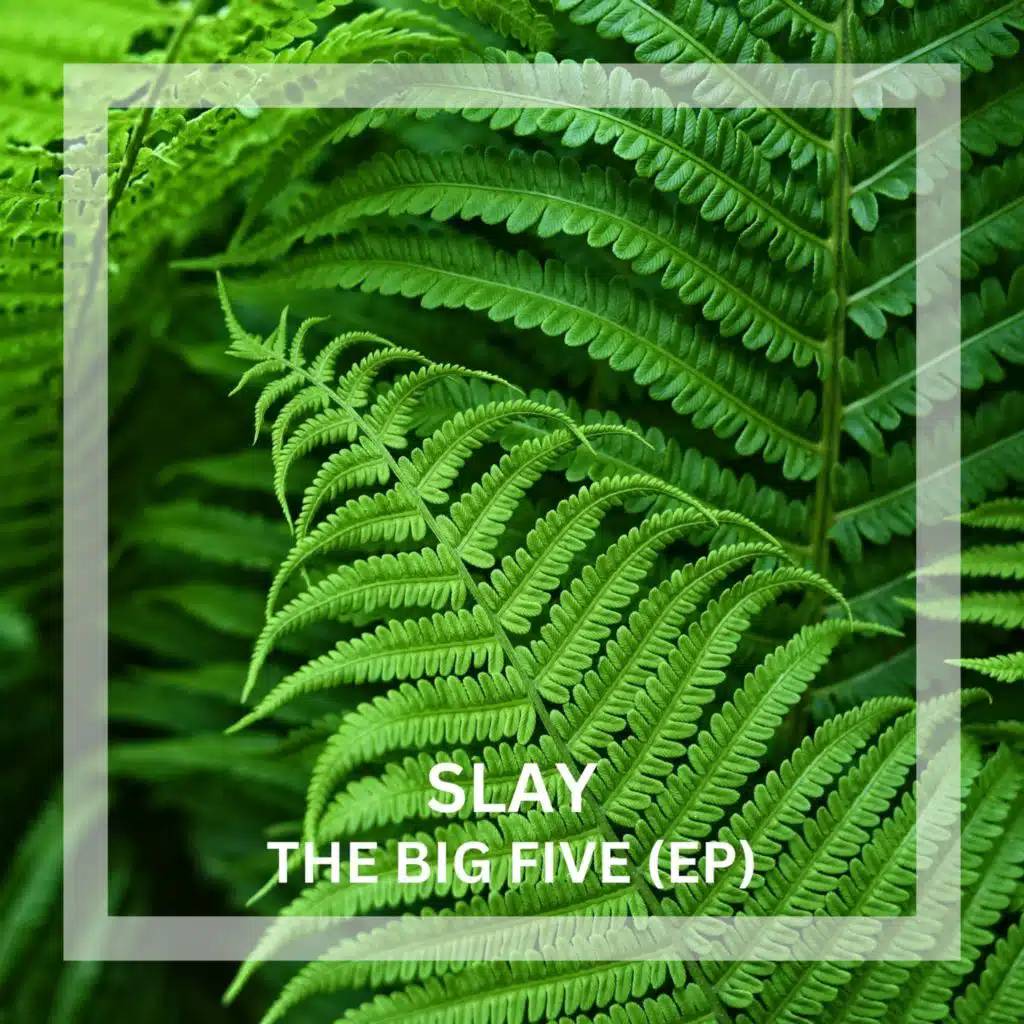 The Big Five