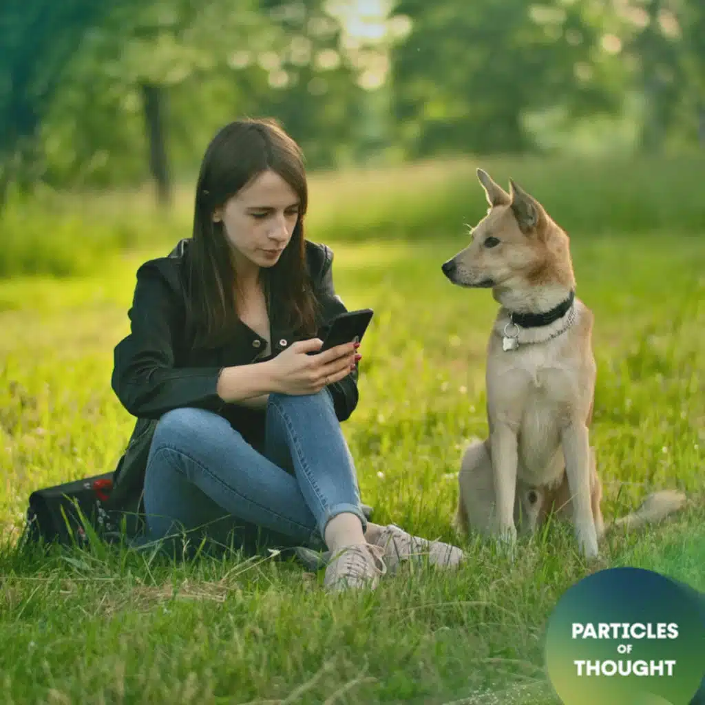 What Are Dogs Saying?