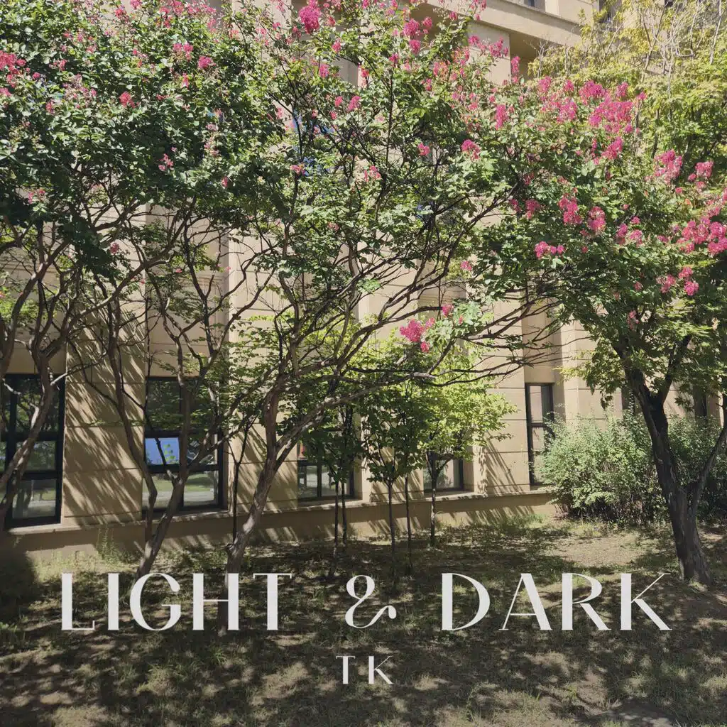 Light & Dark