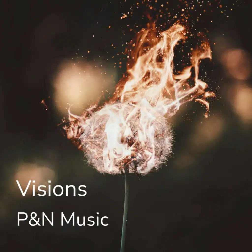 P & N Music