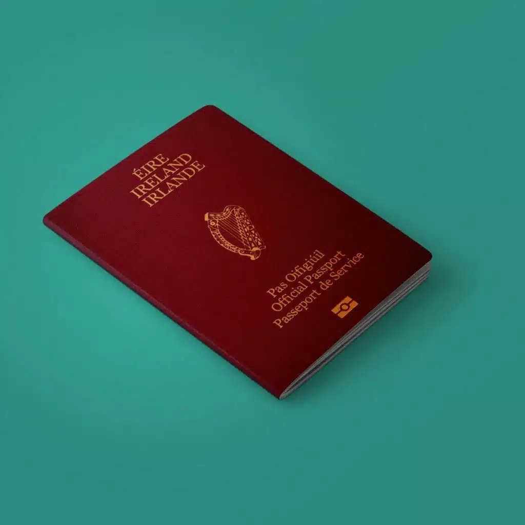 How do Ireland's newest citizens feel about the incoming legislation?