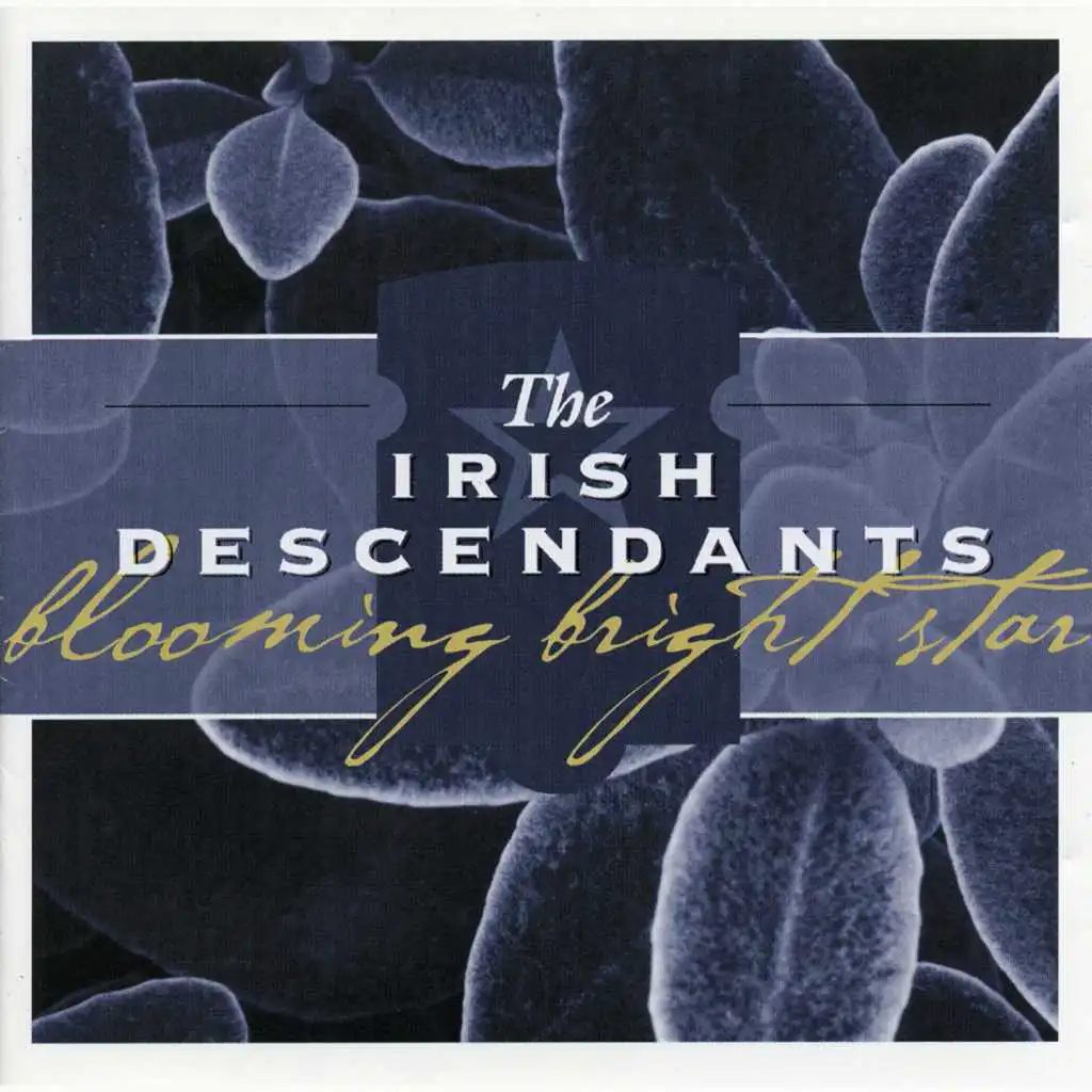 The Irish Descendants