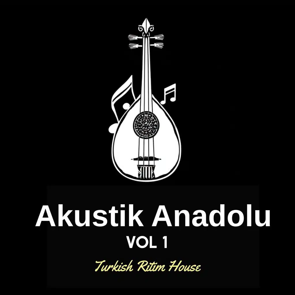 Akustik Anadolu Vol : 1
