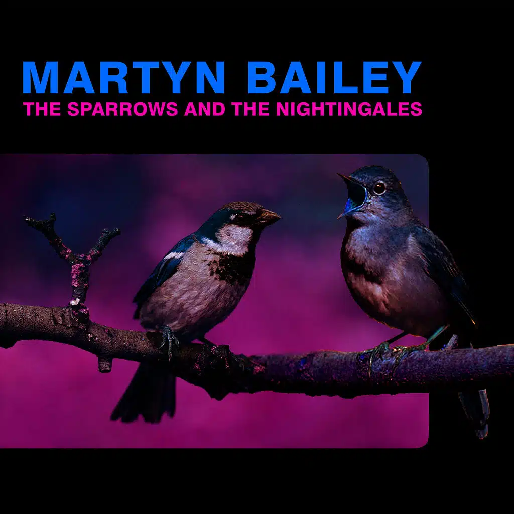 The Sparrows And The Nightingales