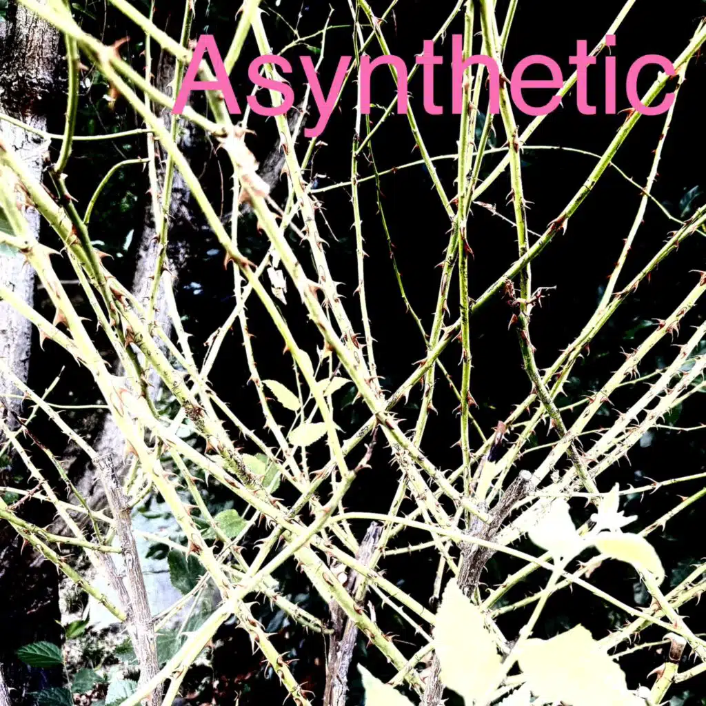 Asynthetic