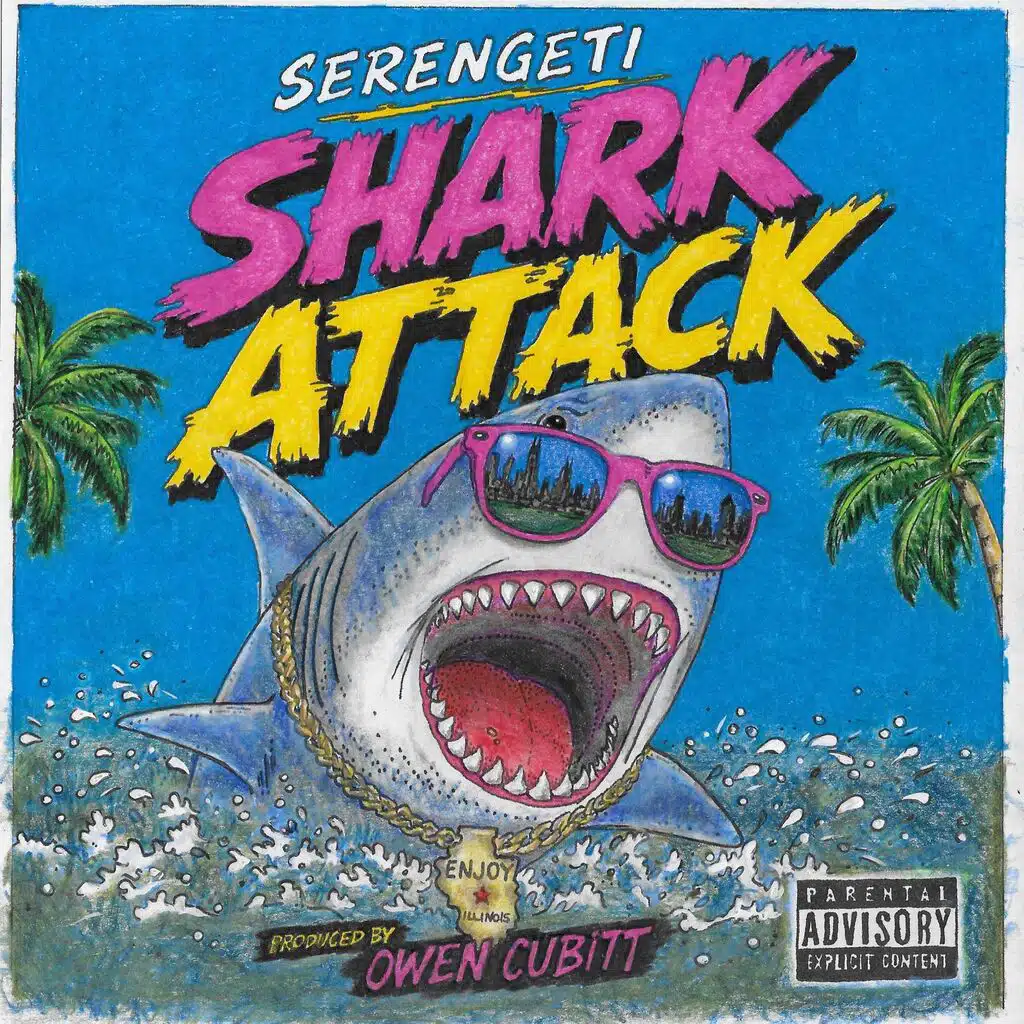 shark attack correct