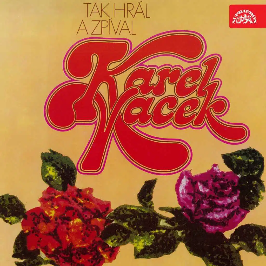 Táboráku Plápolej