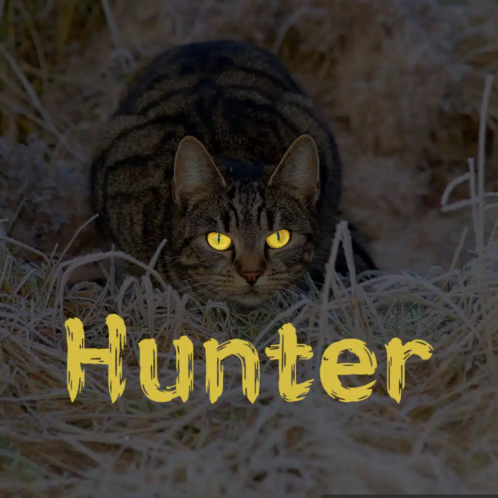 Hunter
