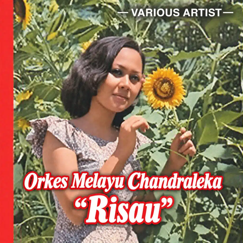 Orkes Melayu Chandraleka "Risau"