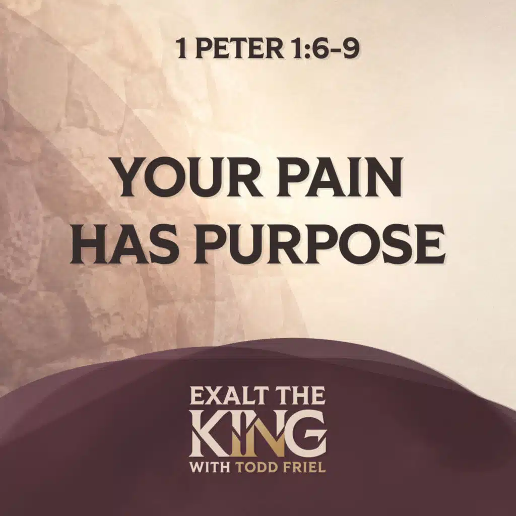 Why God Allows Christians to Suffer | 1 Peter 1:6-9