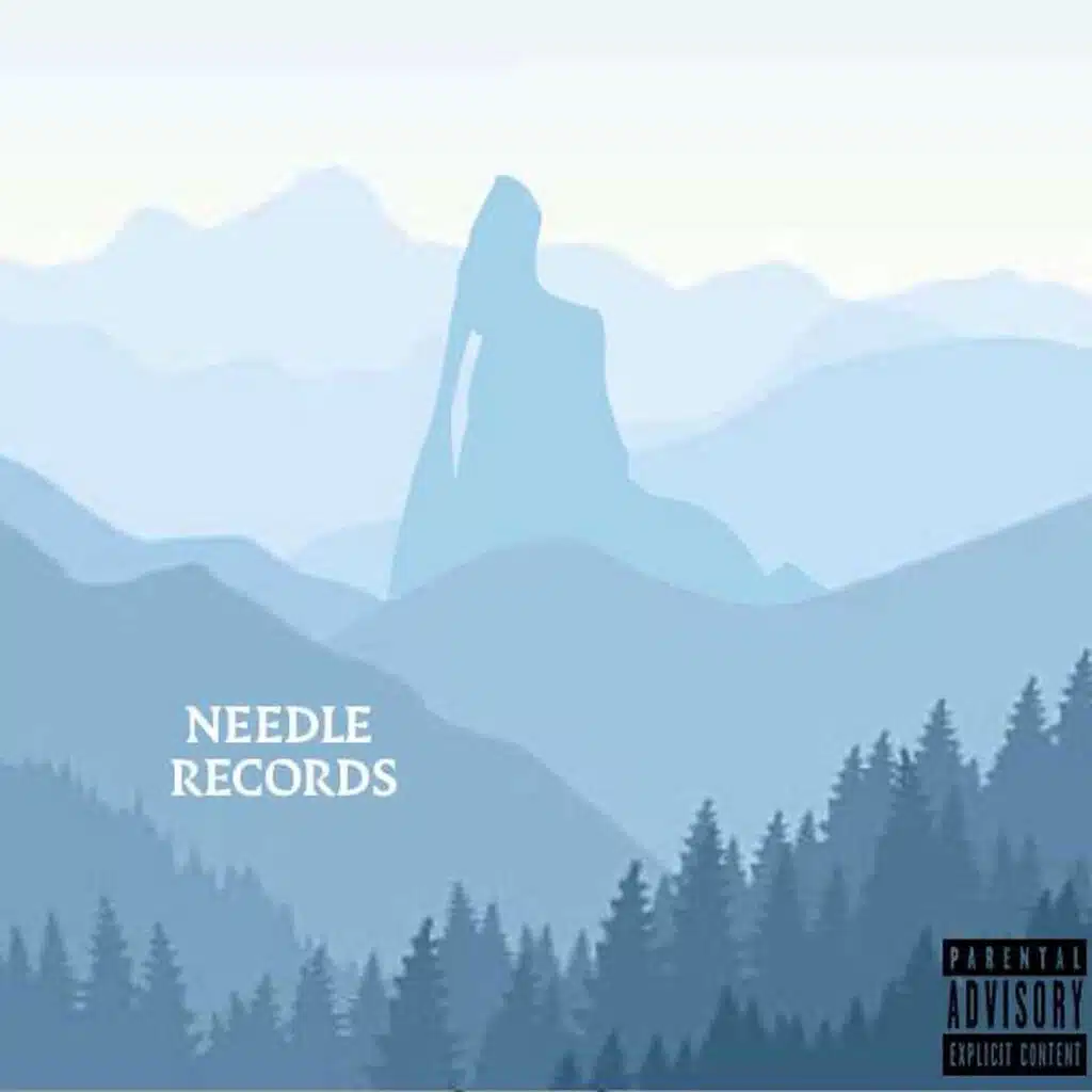 Needle Records