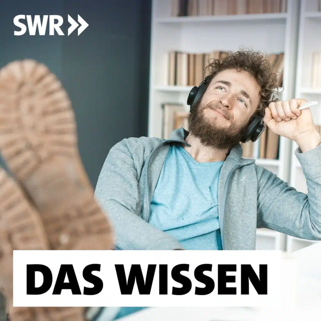 Echte Pausen – Warum Abschalten für unser Gehirn so wichtig ist