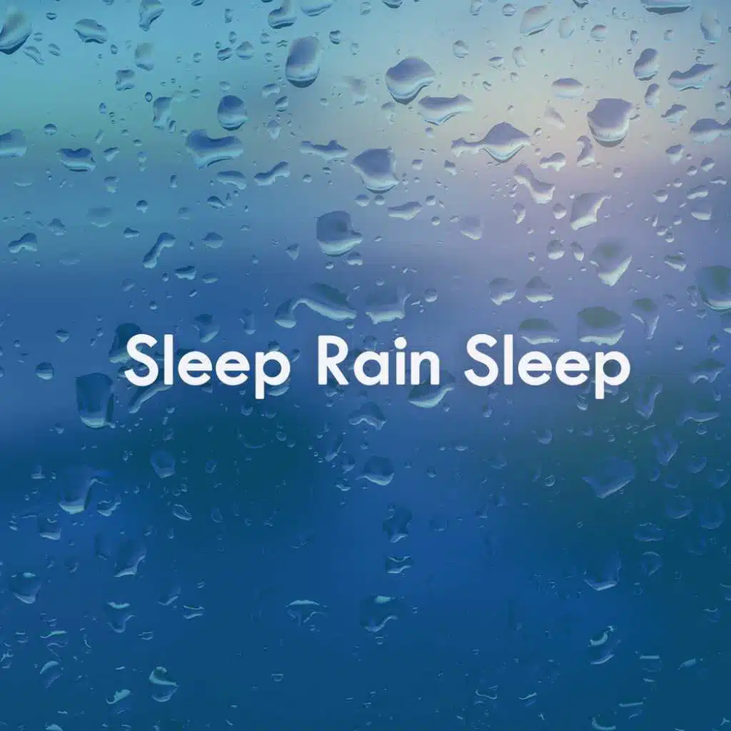Sleep Rain Sleep