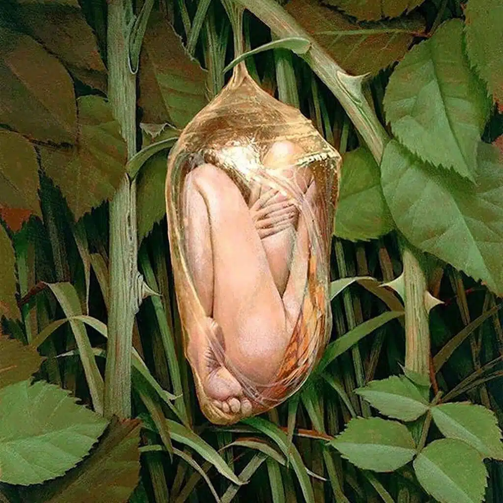 Chrysalis