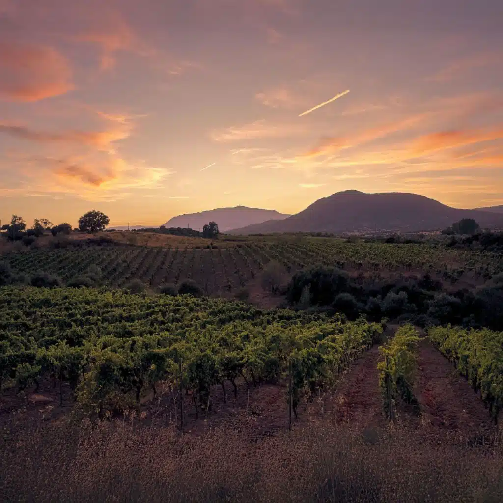 Lights of Burgundy