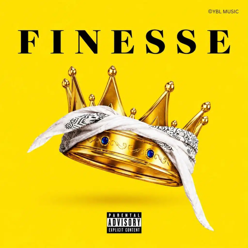 FINESSE