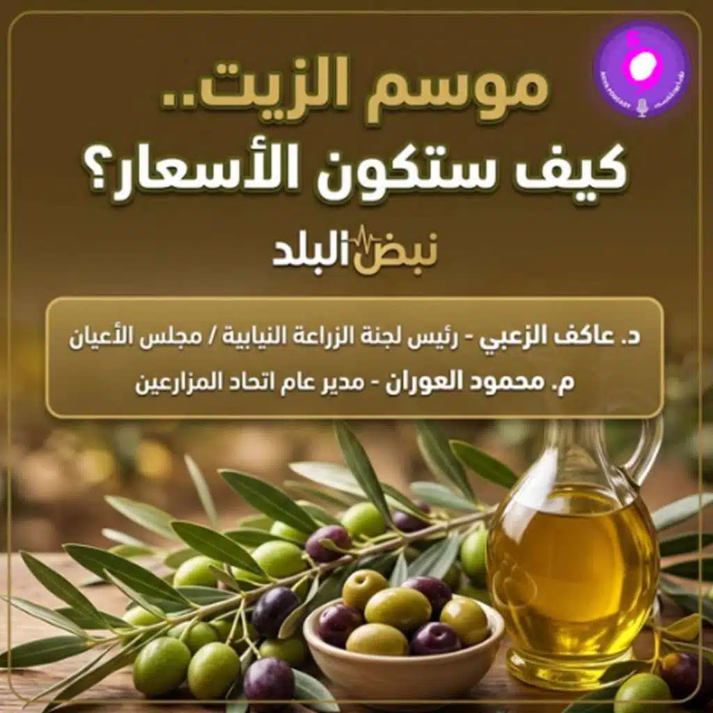 موسم الزيت.. كيف ستكون الأسعار؟