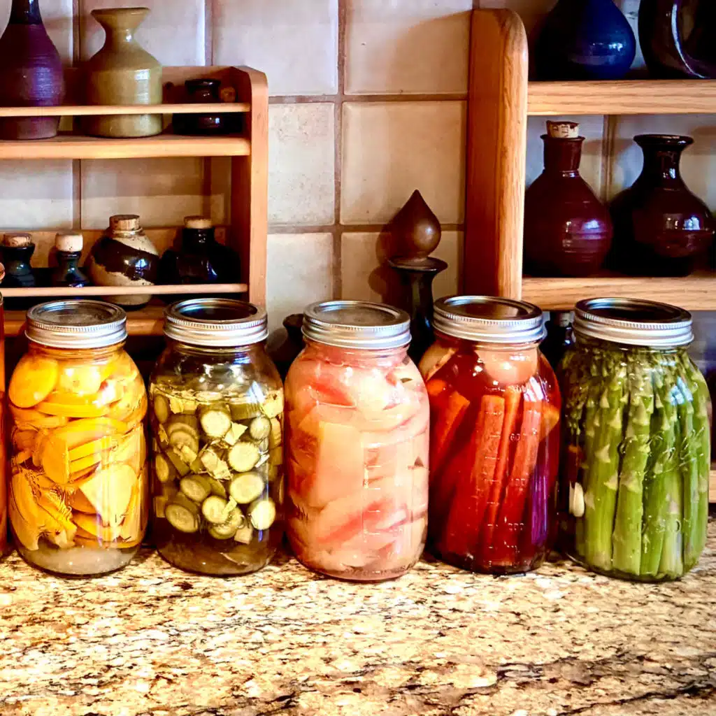 Around the World in 140 Ferments