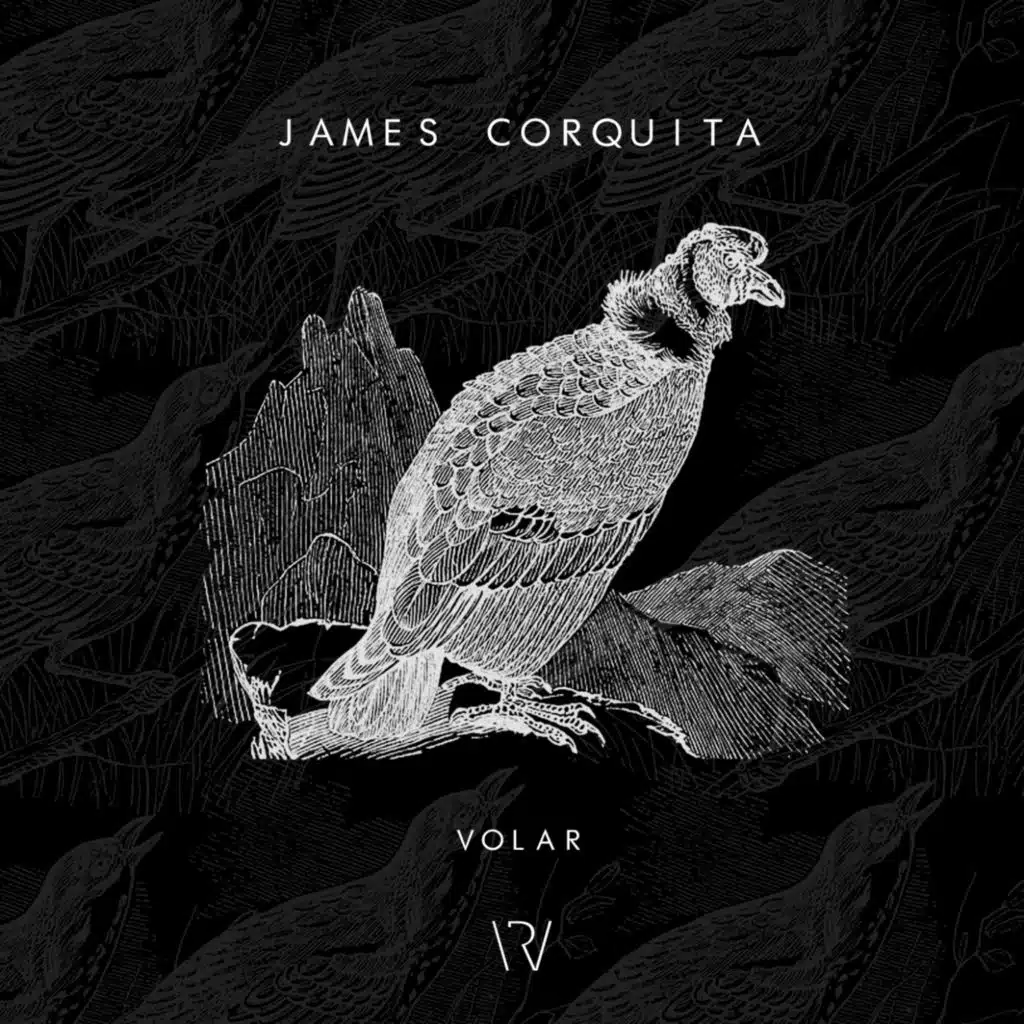 Volar