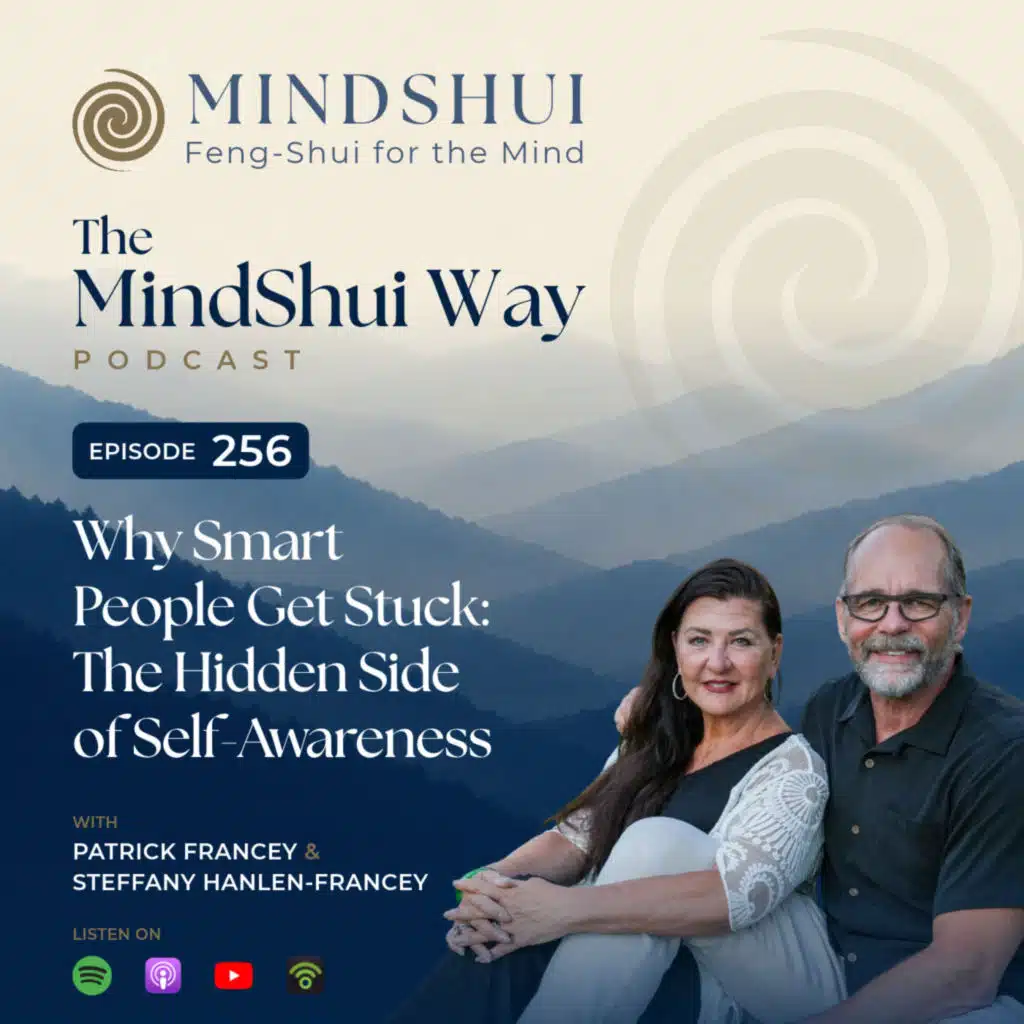MindShui Way – Episode #256 - Why Smart People Get Stuck: The Hidden Side of Self-Awareness