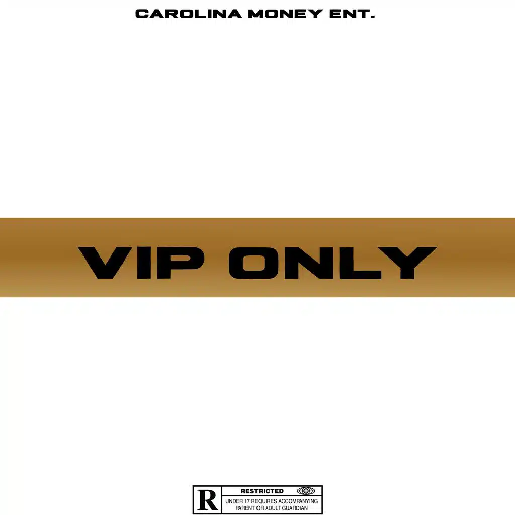 VIP SECTION