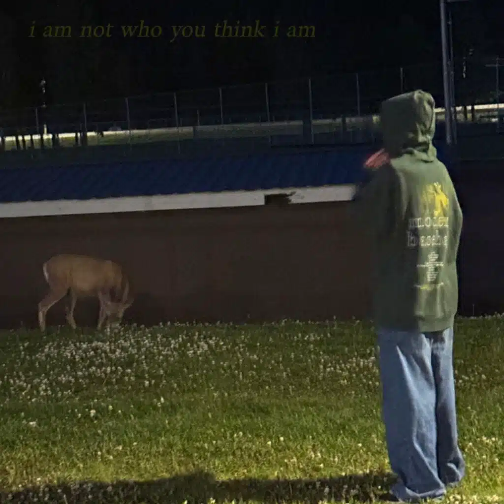 i am not who you think i am