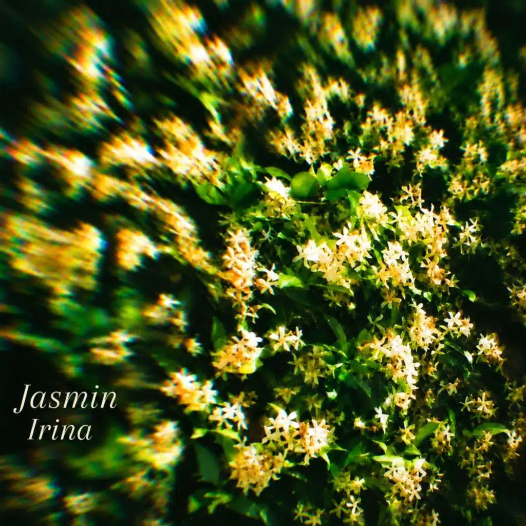 Jasmin