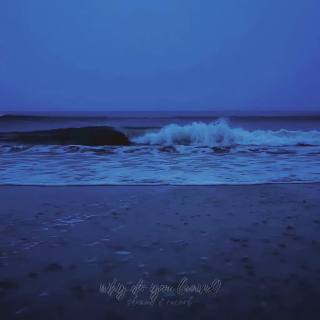 why do you leave? (Slowed & Reverb)