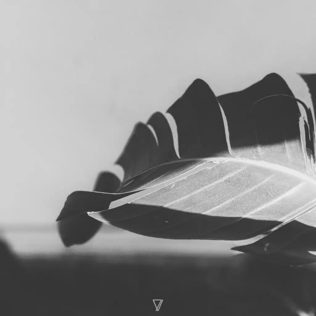 Tie Five