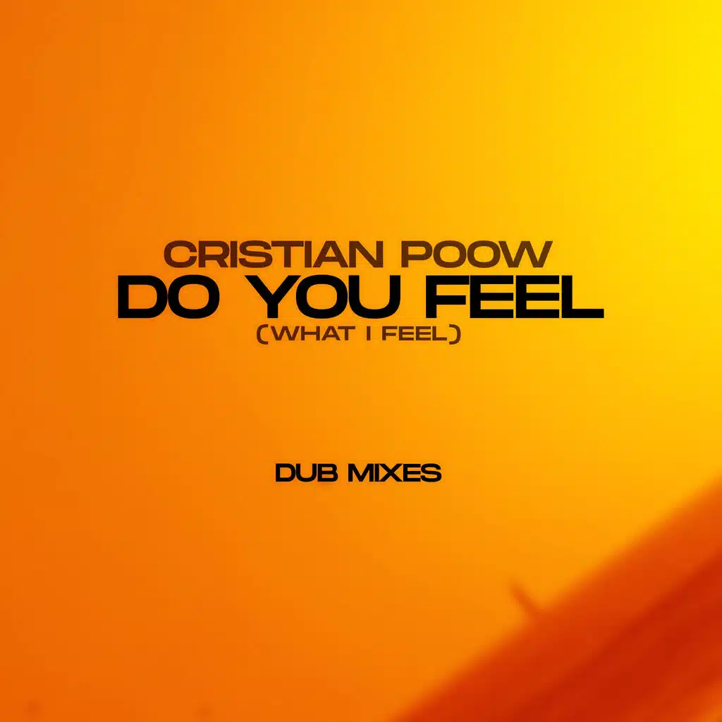 Do You Feel (What I Feel) (Dub Mix) (Dub Mix)