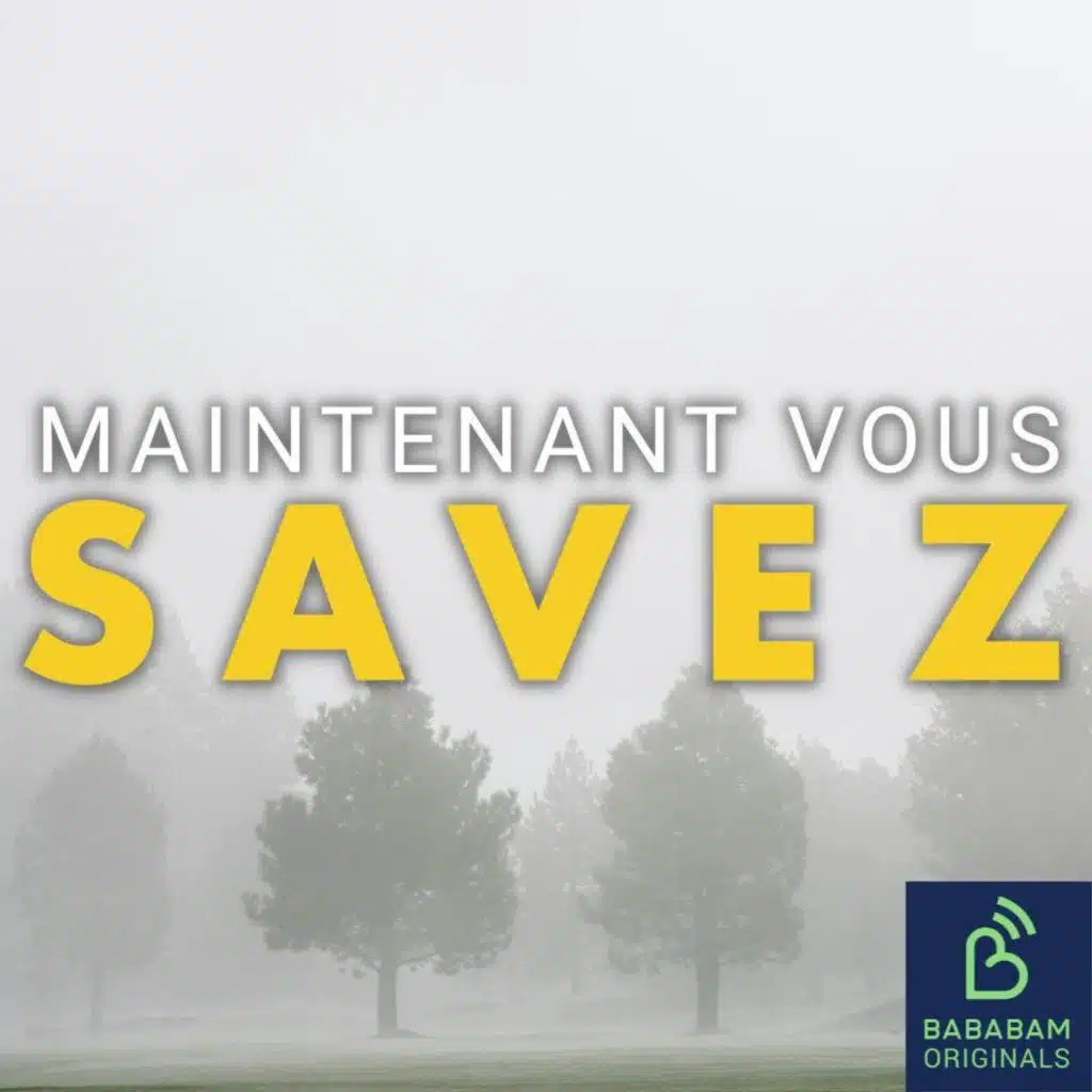 Qu’est-ce qu’un collecteur de brouillard ?