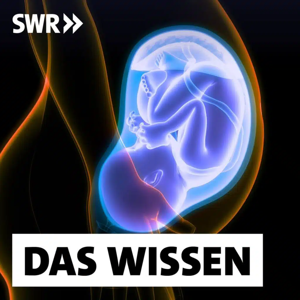 Gefahren für den Fötus – Was unsere Gesundheit vor der Geburt prägt