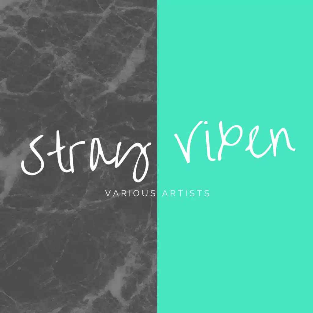 Stray Vixen