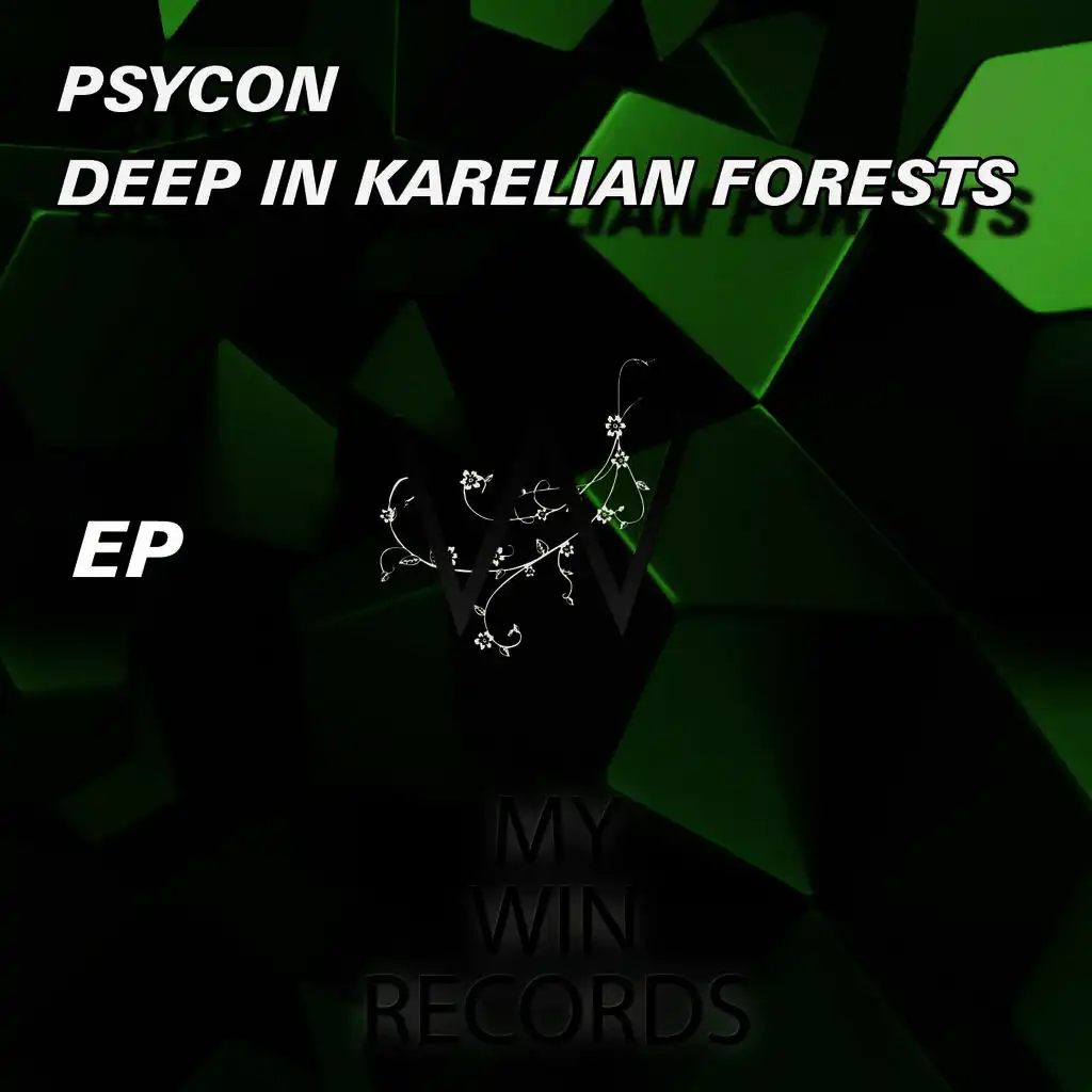Deep In Karelian Forests (Original mix)